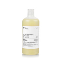 Шампунь для волосся без сульфатів ARUAL Free Shampoo 500мл