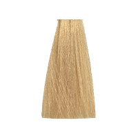 Перманентна крем-фарба для волосся 9/3 дуже світлий блондин золотистий Alter Ego Technofruit Color 100мл