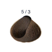 Перманентна крем-фарба для волосся 5/3 світлий каштановий золотистий Alter Ego Technofruit Color 100мл