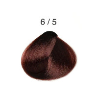 Перманентна крем-фарба для волосся 6/5 темний русявий махагоновий Alter Ego Technofruit Color 100мл