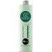 Шампунь для контроля выпадения волос BBcos Green Care Essence Hair Fall Control Shampoo 1000мл