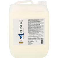 Шампунь для блиску волосся Elea Professional Artisto Shine Shampoo 5000 мл