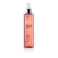 Незмивний кондиціонер для фарбованого волосся Erayba ABH Color Care Conditioner Leave-in 200мл