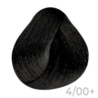 Крем-краска для волос Erayba Equilibrium Hair Color Cream 4/00+ Интенсивный каштановый 120мл