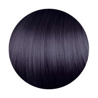 Крем-краска для волос Erayba Gamma Color Haircolor Cream 1/80 Черно-фиолетовый 100мл