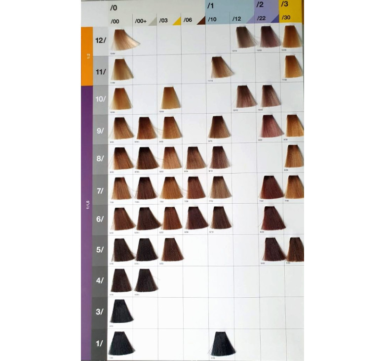 Крем-краска для волос Erayba Gamma Color Haircolor Cream 10/22 Интенсивный супер светлый ирисовый блонд 100мл