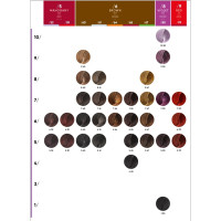 Крем-фарба для волосся Erayba Gamma Color Haircolor Cream 10/43 Супер-світлий мідно-золотистий блонд 100мл