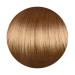 Крем-краска для волос Erayba Gamma Color Haircolor Cream 7/30 Золотистый блонд 100мл