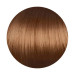 Крем-фарба для волосся Erayba Gamma Color Haircolor Cream 8/00 Натуральний світлий блонд 100мл