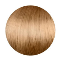 Крем-краска для волос Erayba Gamma Color Haircolor Cream 9/60 Очень светлый коричневый блонд 100мл