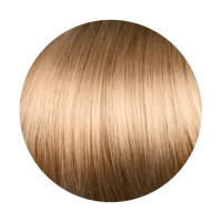Крем-краска для волос Erayba Gamma Color Haircolor Cream 8/03 Натуральный светлый золотистый блонд 100мл