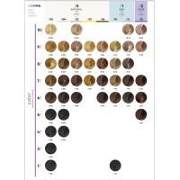 Крем-краска для волос Erayba Gamma Color Haircolor Cream 6/12 Темно - русый пепельно - ирисовый 100мл
