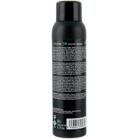 Сухой шампунь для волосся Erayba S12 StyleActive Texturize Shampoo 150мл