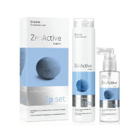Набор против перхоти Erayba Zen Active Purify Zp Set шампунь 250мл + лосьон 100мл