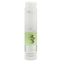 Шампунь для жирного волосся Erayba Zen Active Balance Z12b Cleansing Shampoo 250мл