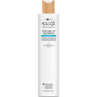 Шампунь для об'єму волосся Hair Company Creative Inspiration Density Volume Up Shampoo 250мл