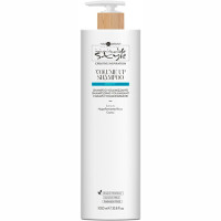 Шампунь для объёма волос Hair Company Creative Inspiration Density Volume Up Shampoo 1000 мл