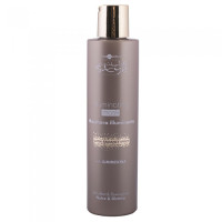 Маска для придания блеска Hair Company Inimitable Style Illuminating Mask 200мл