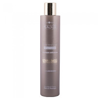 Шампунь разглаживающий Hair Company Inimitable Style Frizz Stopper Shampoo 250мл