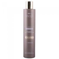 Шампунь стабилизирующий с экстрактом шелка и алоэ вера Hair Company Inimitable Style Post Treatment Shampoo 250мл