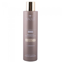 Маска стабилизирующая с экстрактом шелка и алоэ вера Hair Company Inimitable Style Post Treatment Mask 200мл