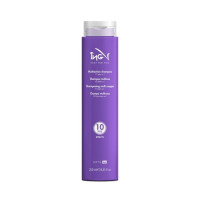 Мультифункціональний шампунь 10 в 1 миттєвої дії ING Styling Multiaction Shampoo 10 in 1 250мл