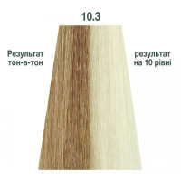 Напівперманентна система фарбування у вигляді гелю Kaaral Baco Color Glaze 10.3 платиновий блондин золотистий 60мл