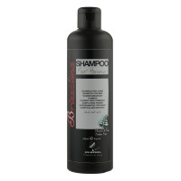 Шампунь чоловічий Kleral System Brizzolina Shampoo 250мл