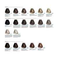 Фарба для волосся Pro.Co PRO.COLOR OXIDATION COLORING 6/66 блондин темний червоний інтенсивний 100 мл